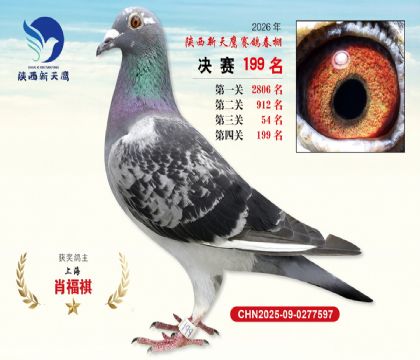 ��������ӥ����199��