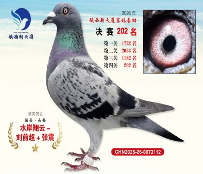 ��������ӥ����202��