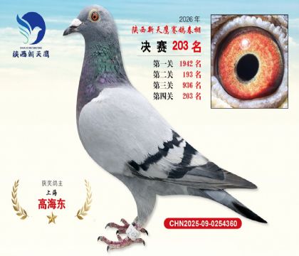 ��������ӥ����203��