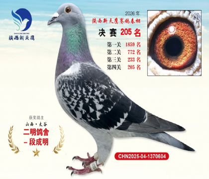 ��������ӥ����205��