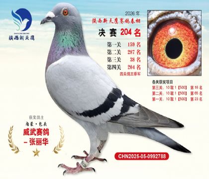 ��������ӥ����204�����Ĺظ���������