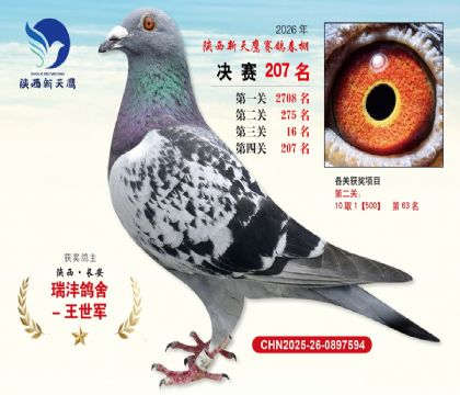 ��������ӥ����207��