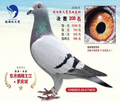 ��������ӥ����206��