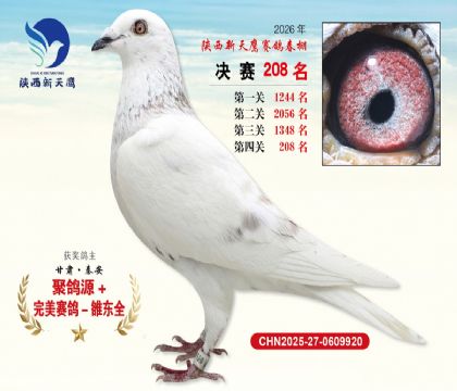 ��������ӥ����208��