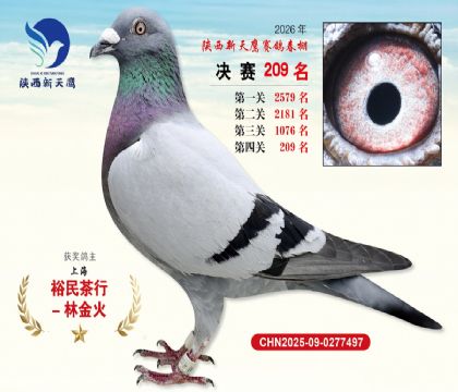 ��������ӥ����209��