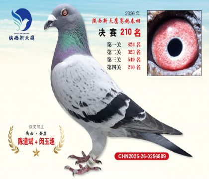 ��������ӥ����210��