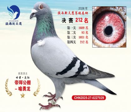 ��������ӥ����212��