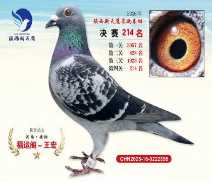 ��������ӥ����214��