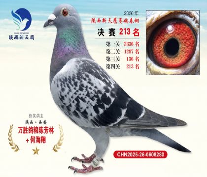 ��������ӥ����213��