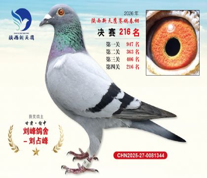 ��������ӥ����216��