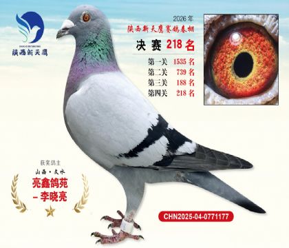 ��������ӥ����218��