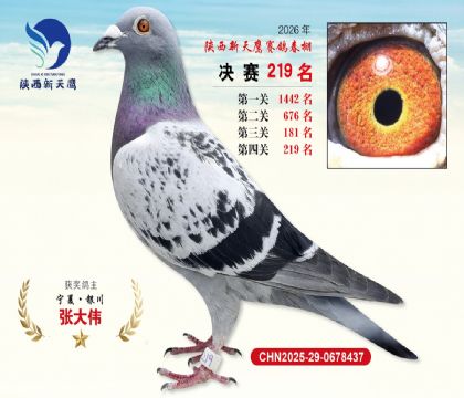 ��������ӥ����219��