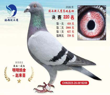 ��������ӥ����220��