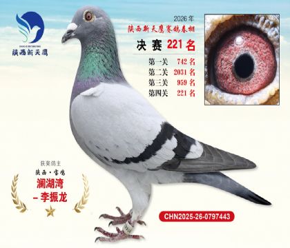 ��������ӥ����221��