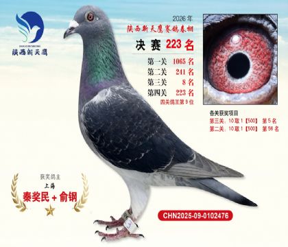 ��������ӥ����223�����Ĺظ���9����