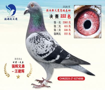 ��������ӥ����222��