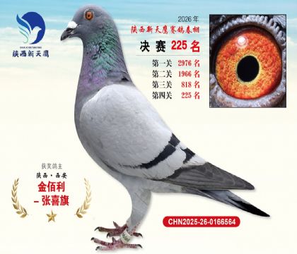 ��������ӥ����225��