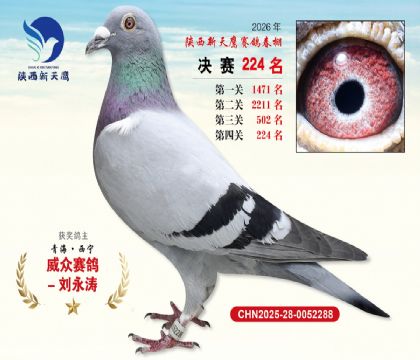 ��������ӥ����224��