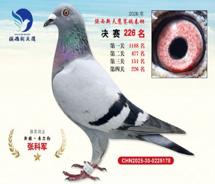 ��������ӥ����226��
