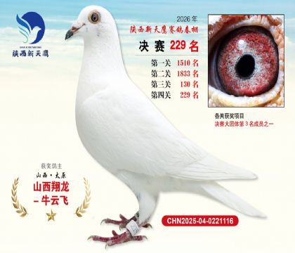 ��������ӥ����229��