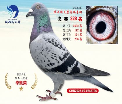 ��������ӥ����228��