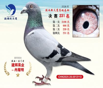 ��������ӥ����231��