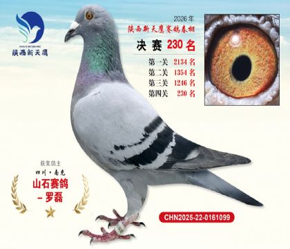 ��������ӥ����230��