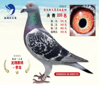 ��������ӥ����233��