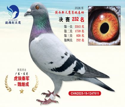 ��������ӥ����232��