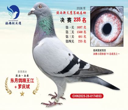��������ӥ����235��