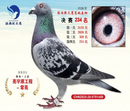 ��������ӥ����234��