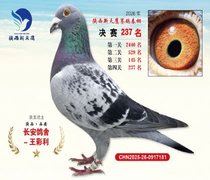 ��������ӥ����237��