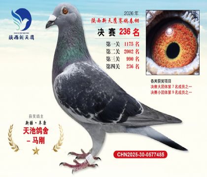 ��������ӥ����236��