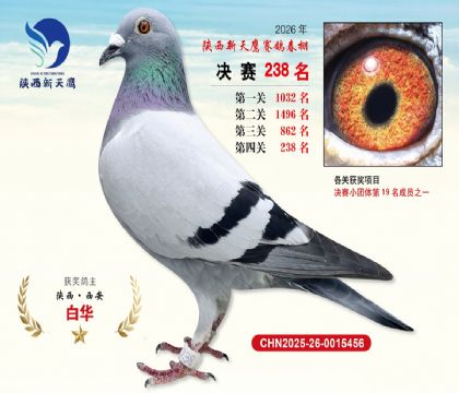 ��������ӥ����238��