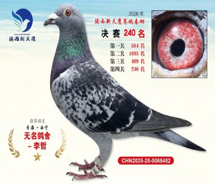 ��������ӥ����240��