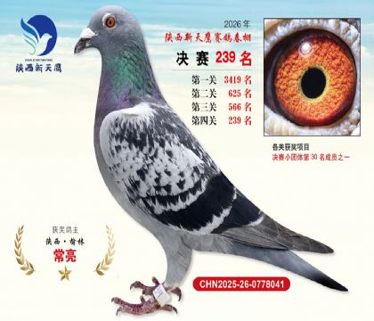 ��������ӥ����239��