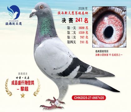 ��������ӥ����241��