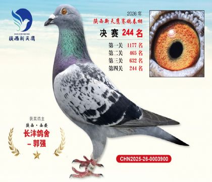 ��������ӥ����244��