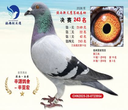 ��������ӥ����243��