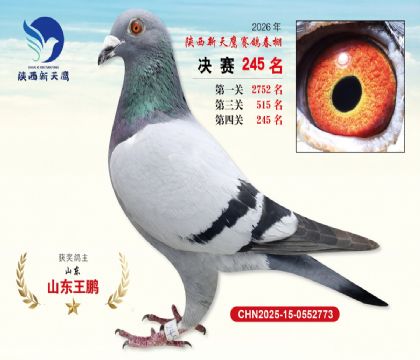 ��������ӥ����245��