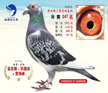 ��������ӥ����247��