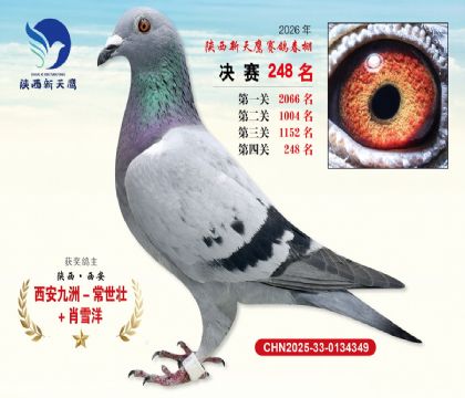 ��������ӥ����248��