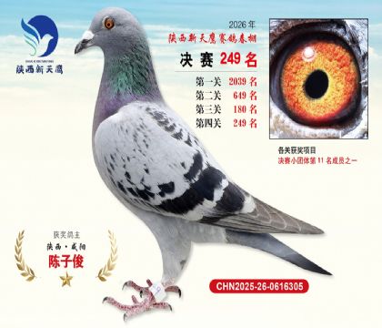 ��������ӥ����249��