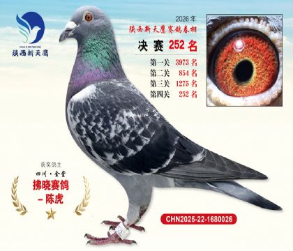 ��������ӥ����252��