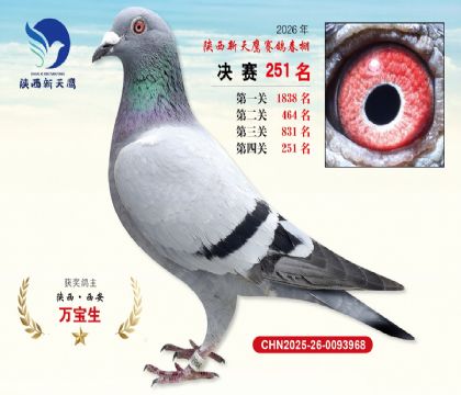 ��������ӥ����251��