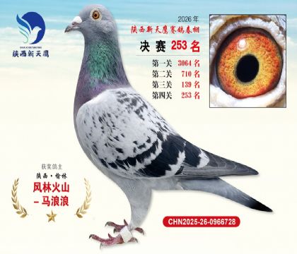 ��������ӥ����253��