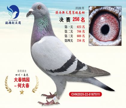 ��������ӥ����256��