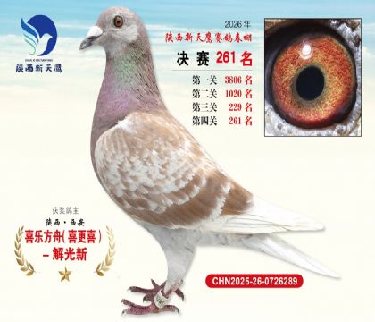��������ӥ����261��