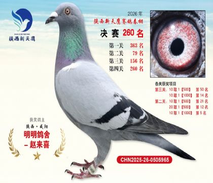 ��������ӥ����260��
