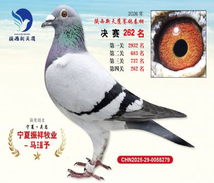 ��������ӥ����262��